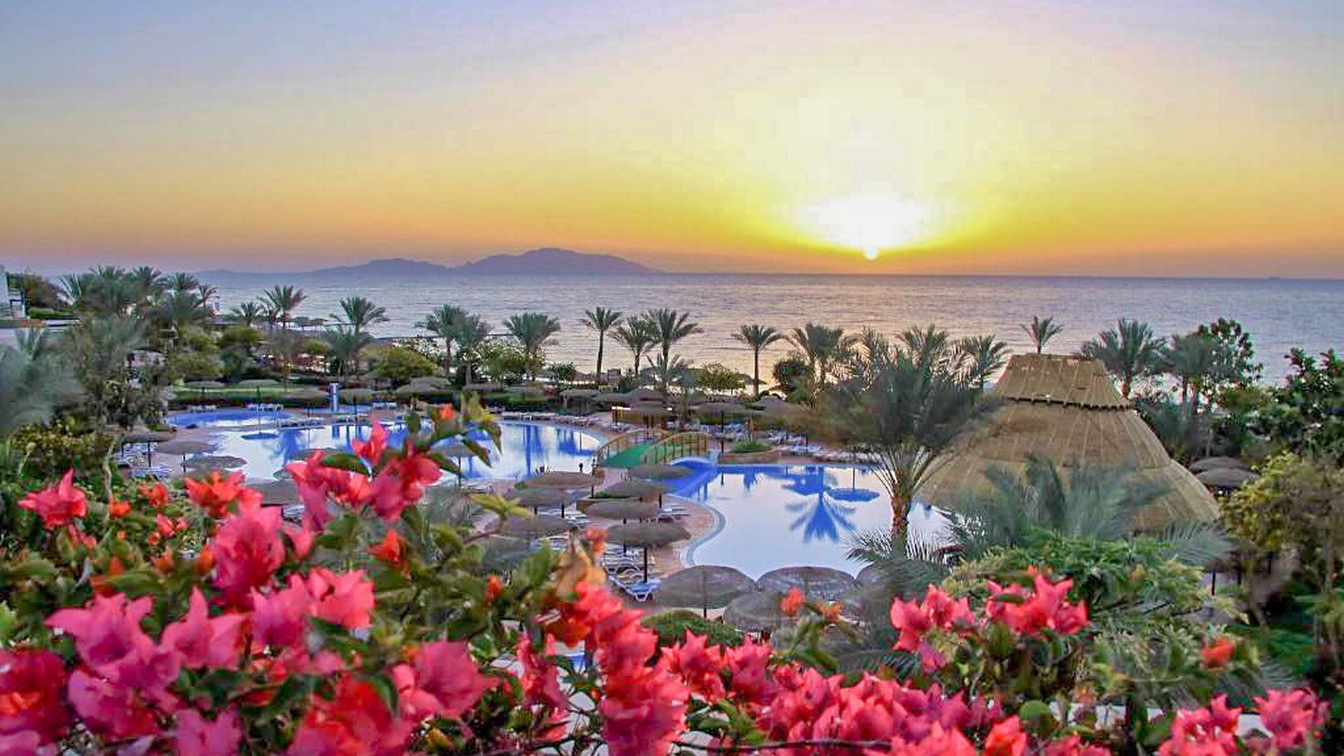 Albatros Royal Grand Sharm