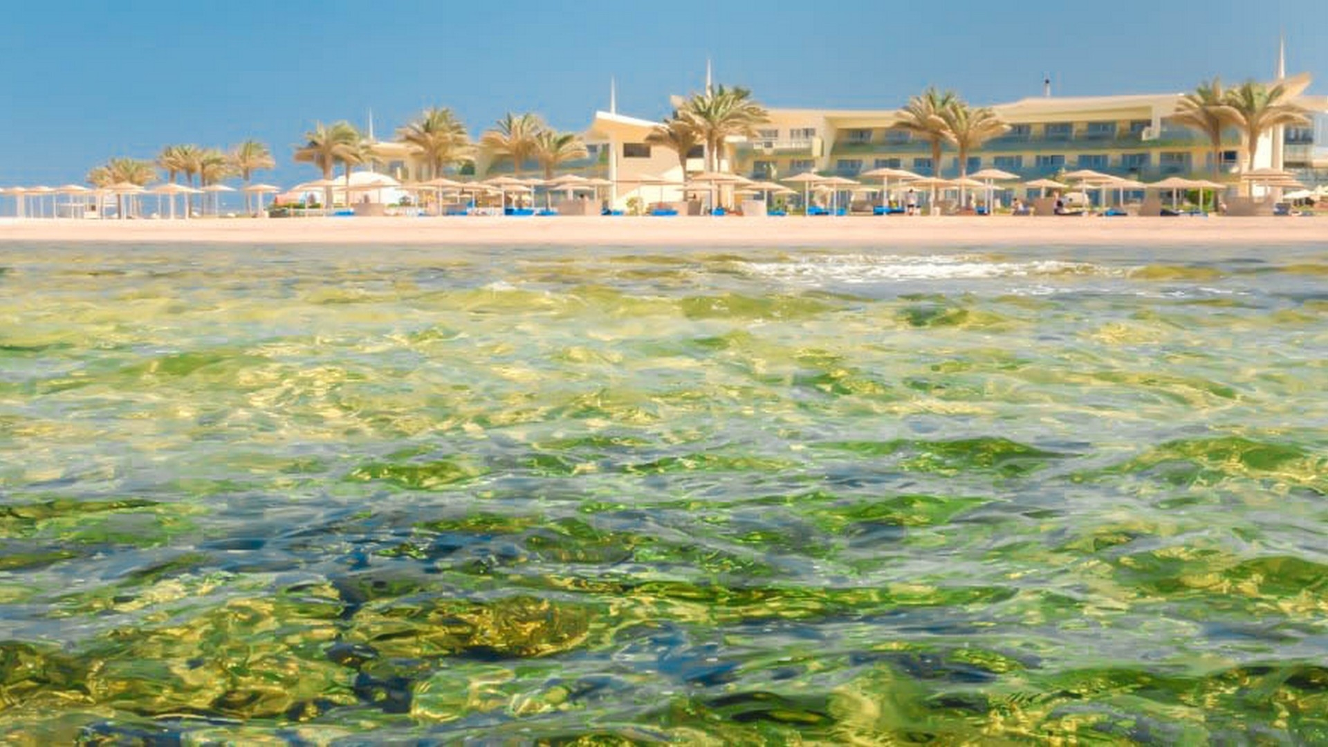 Barcelo Tiran Resort