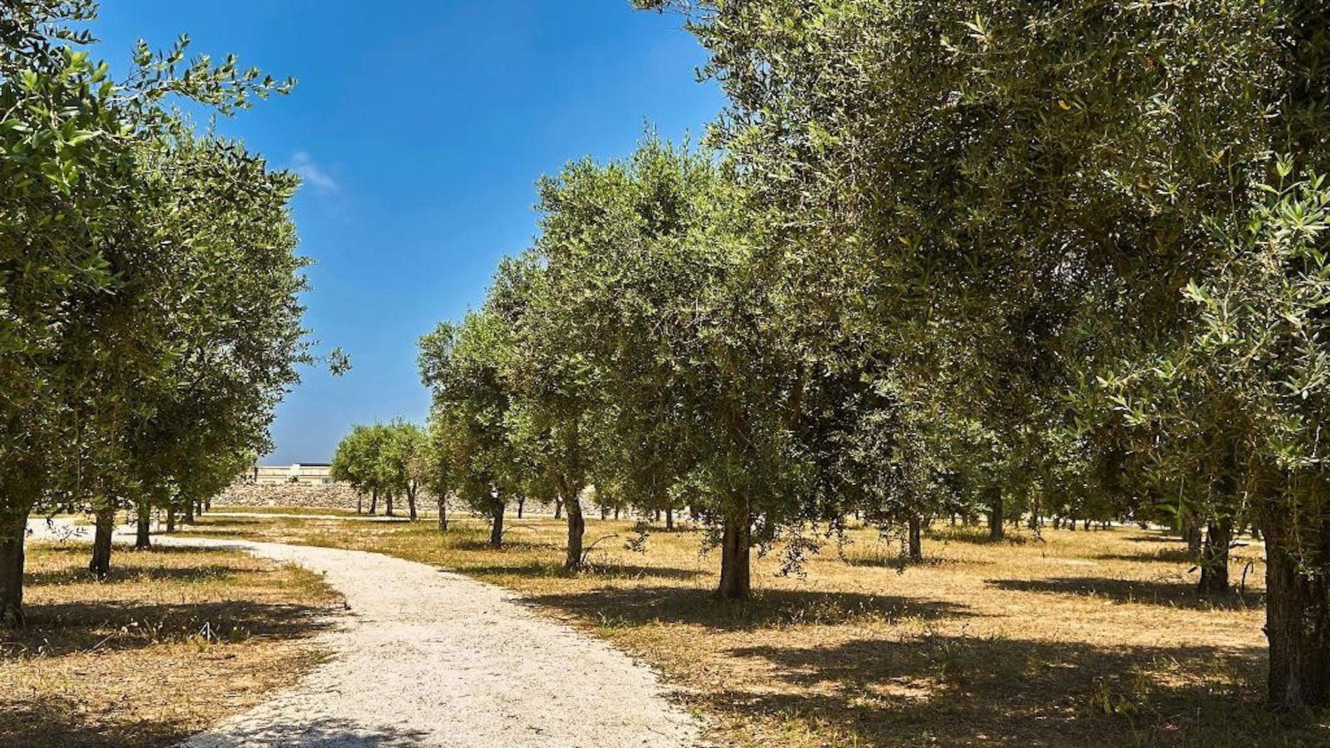 Relais Masseria Le Cesine