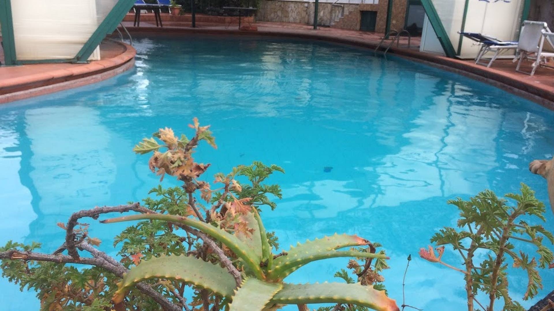 Strand Hotel Delfini