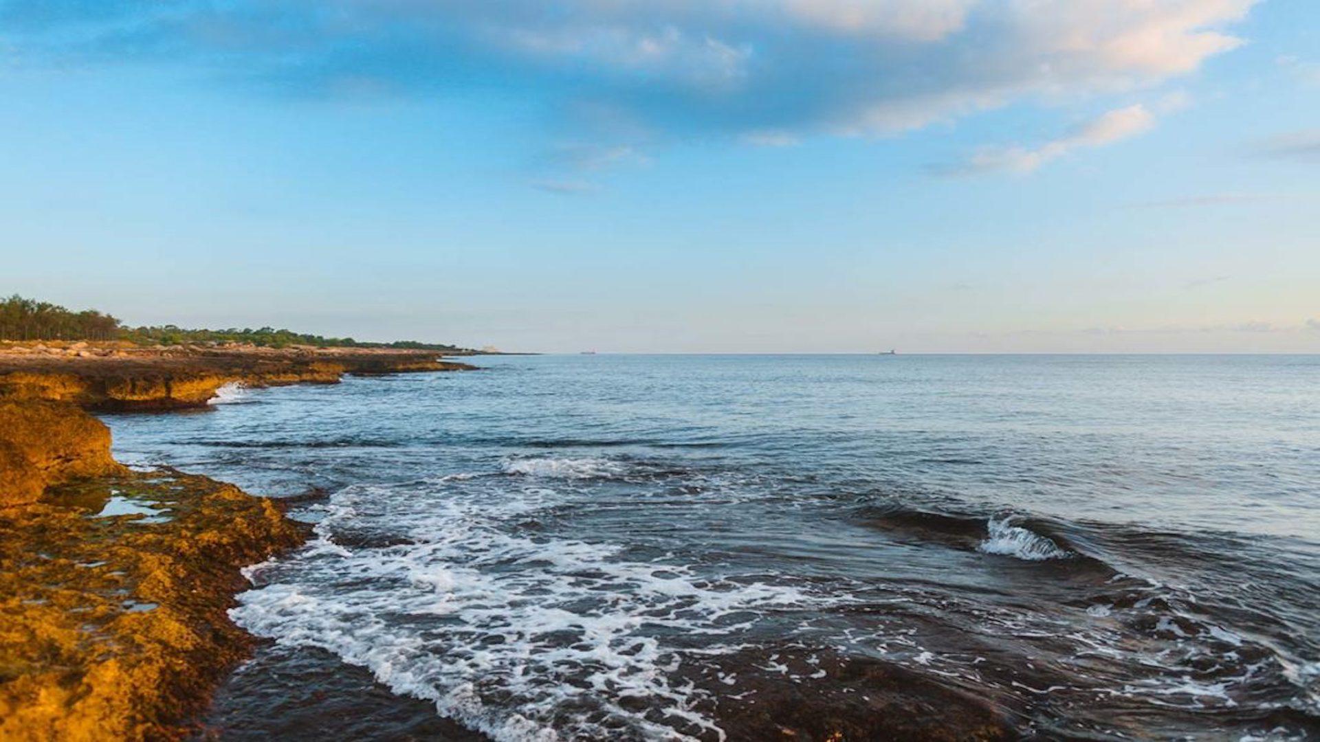 Torre Cintola Greenblu Sea Emotions