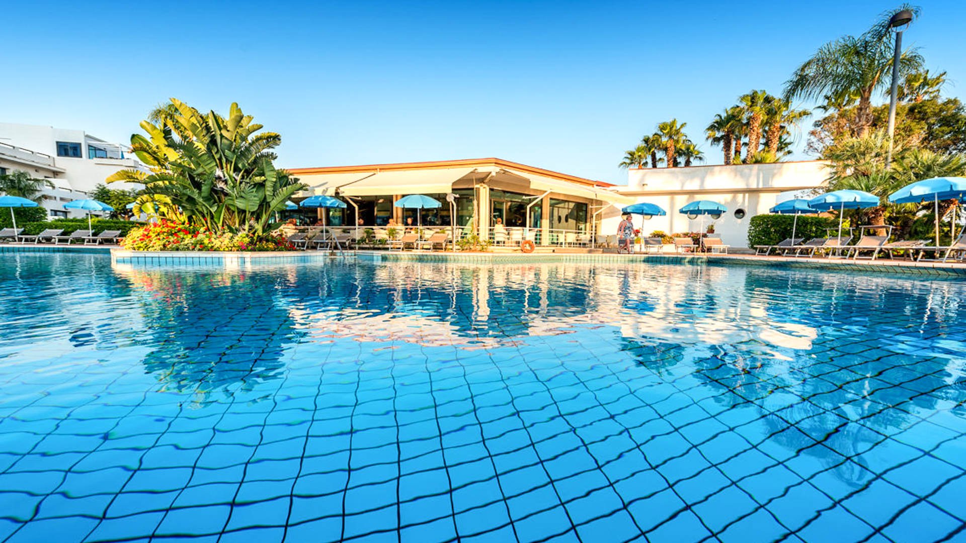 Acacia Marina