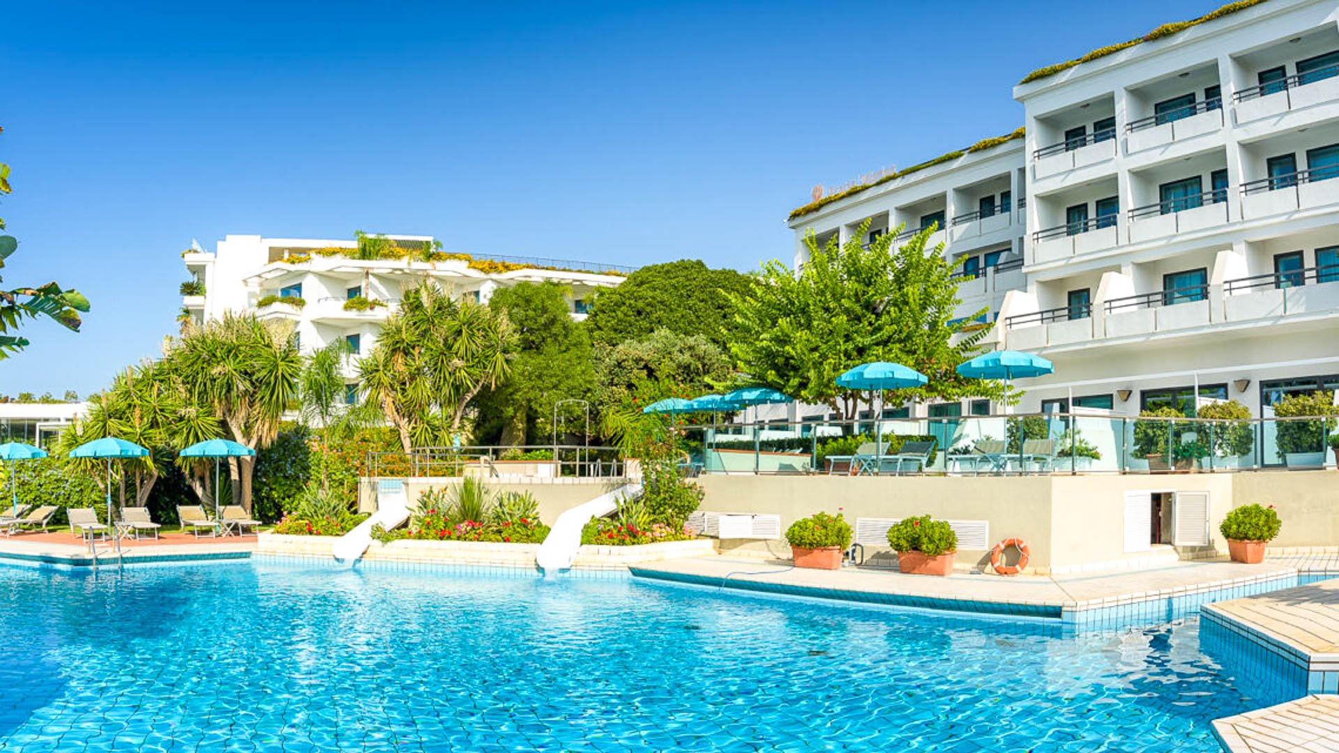 Acacia Marina