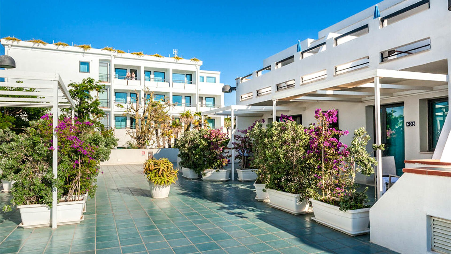 Acacia Marina
