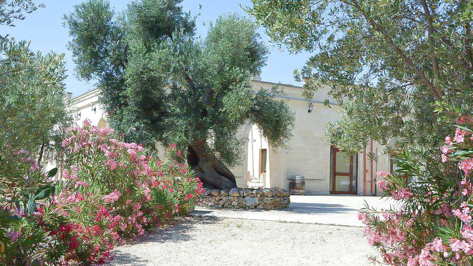 Agriturismo San Leonardo