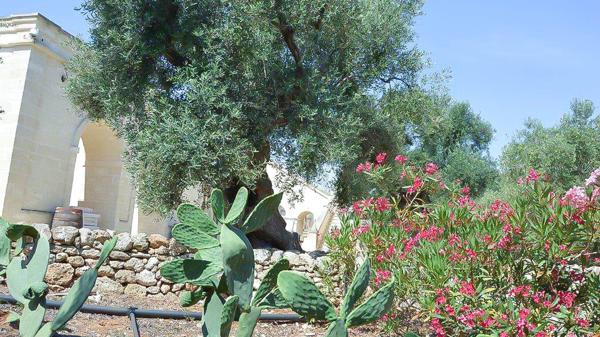 Agriturismo San Leonardo