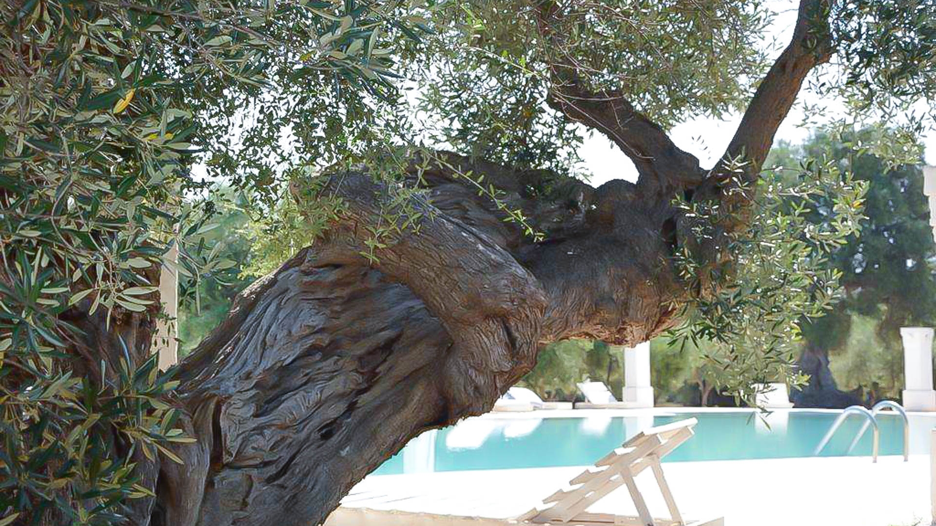 Agriturismo San Leonardo