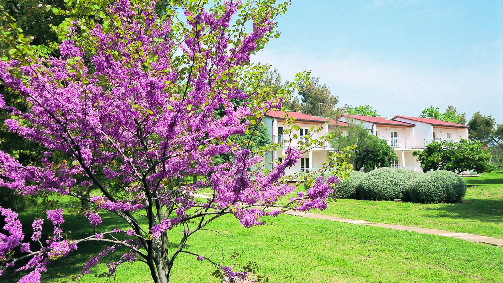 Ai Pini Resort