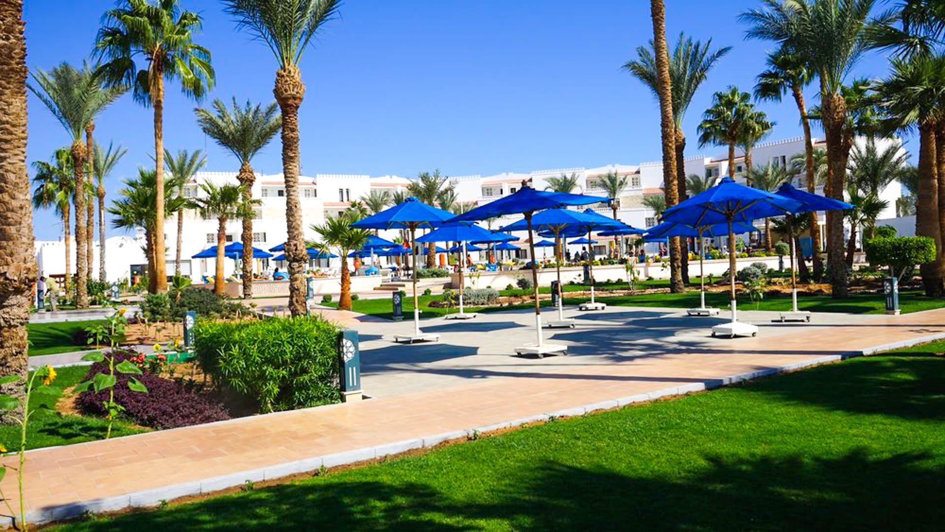 Albatros Sharm Resort