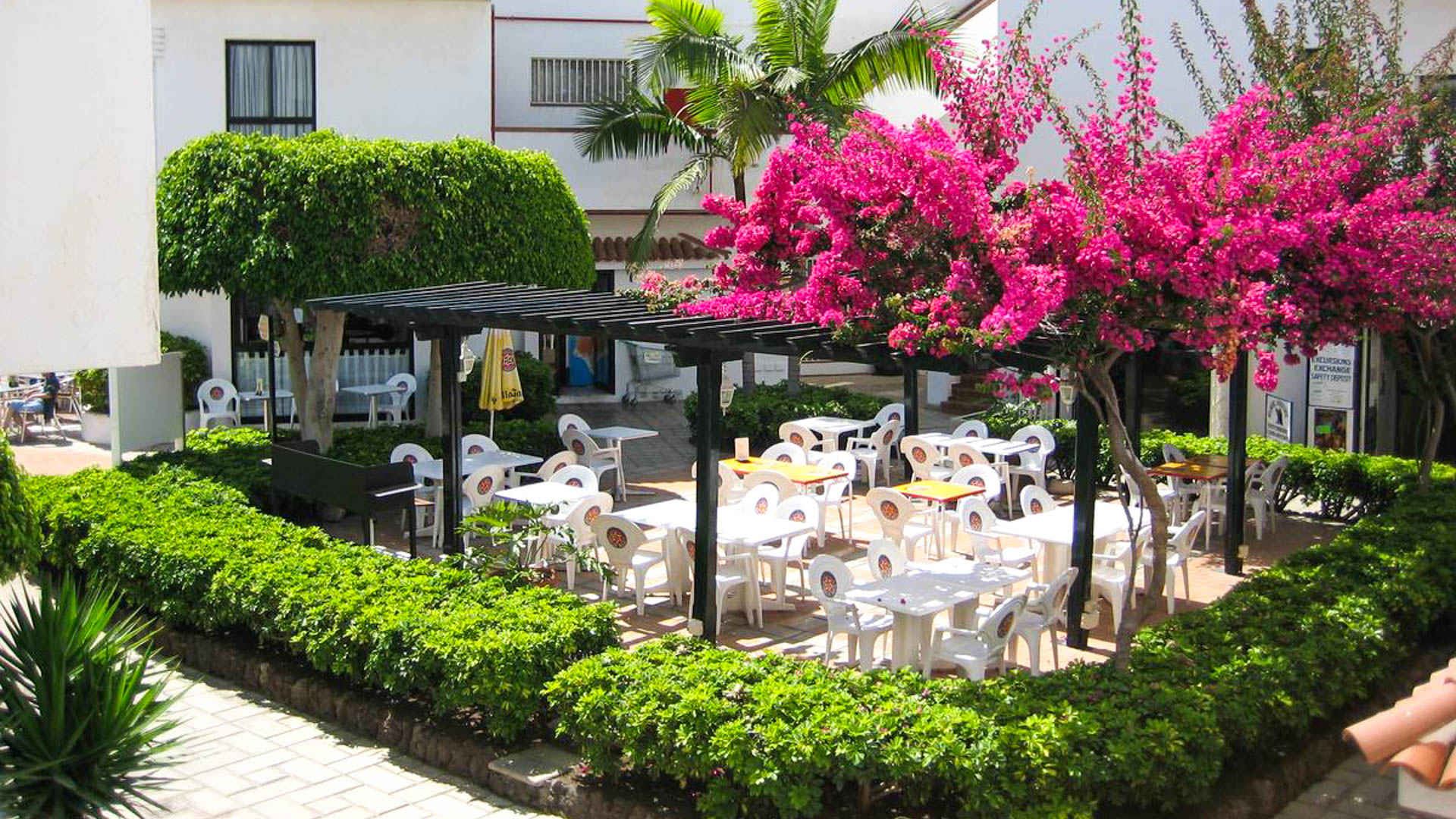 Apartamentos Hg Tenerife Sur