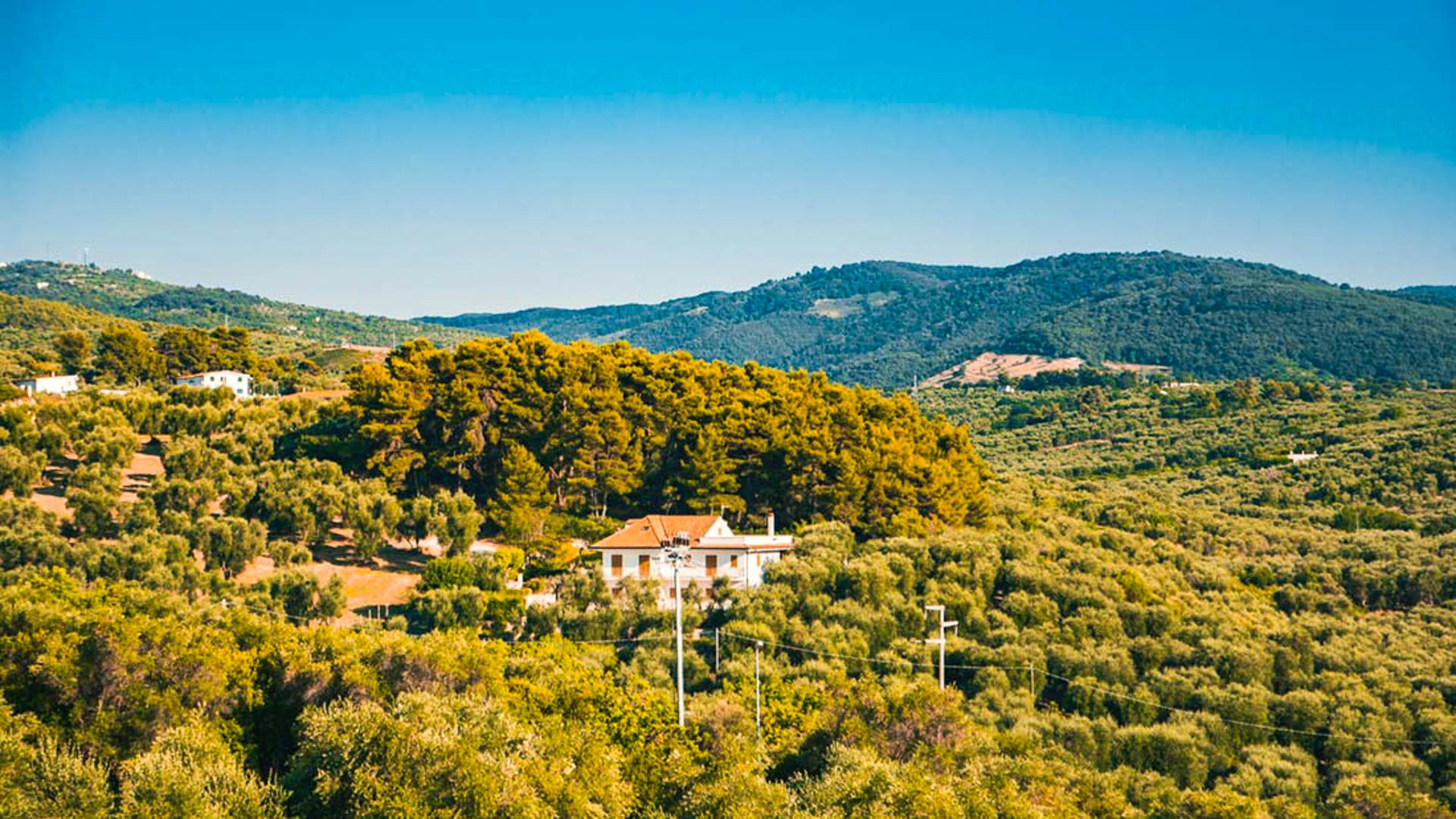 Apulia Hotel Rodi Garganico