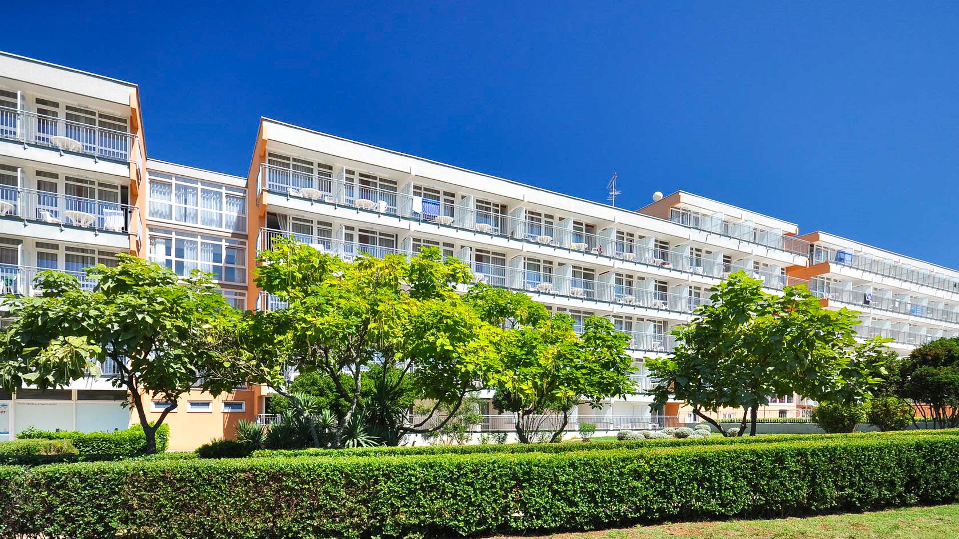 Arena Hotel Holiday