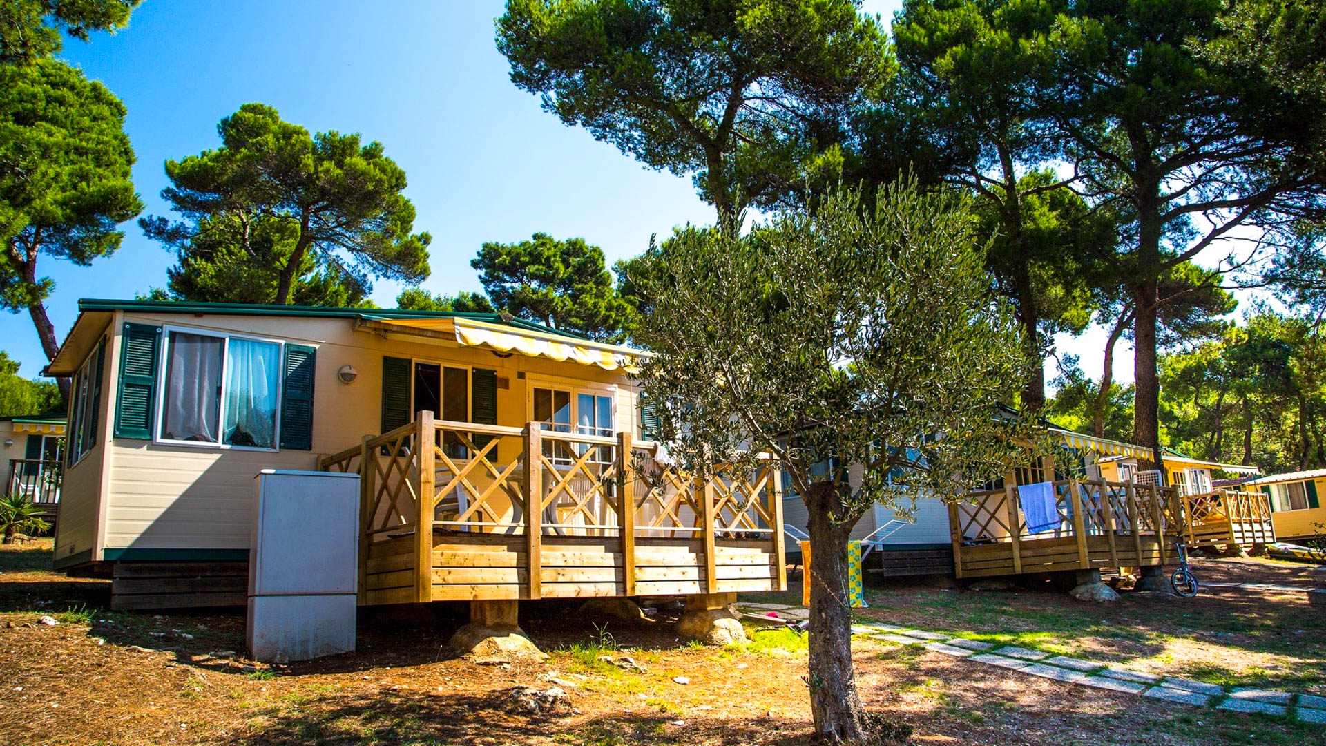 Arena Indije Campeggio