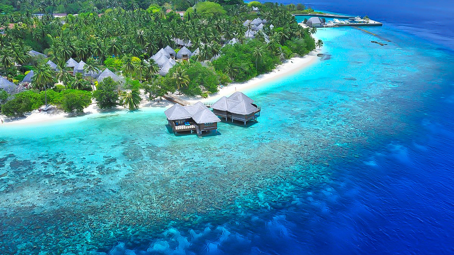 Bandos Maldives Resort