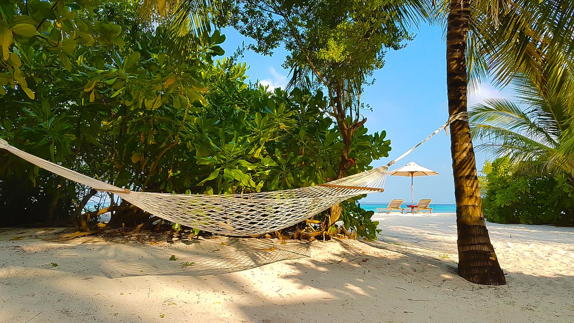 The Barefoot Eco Resort