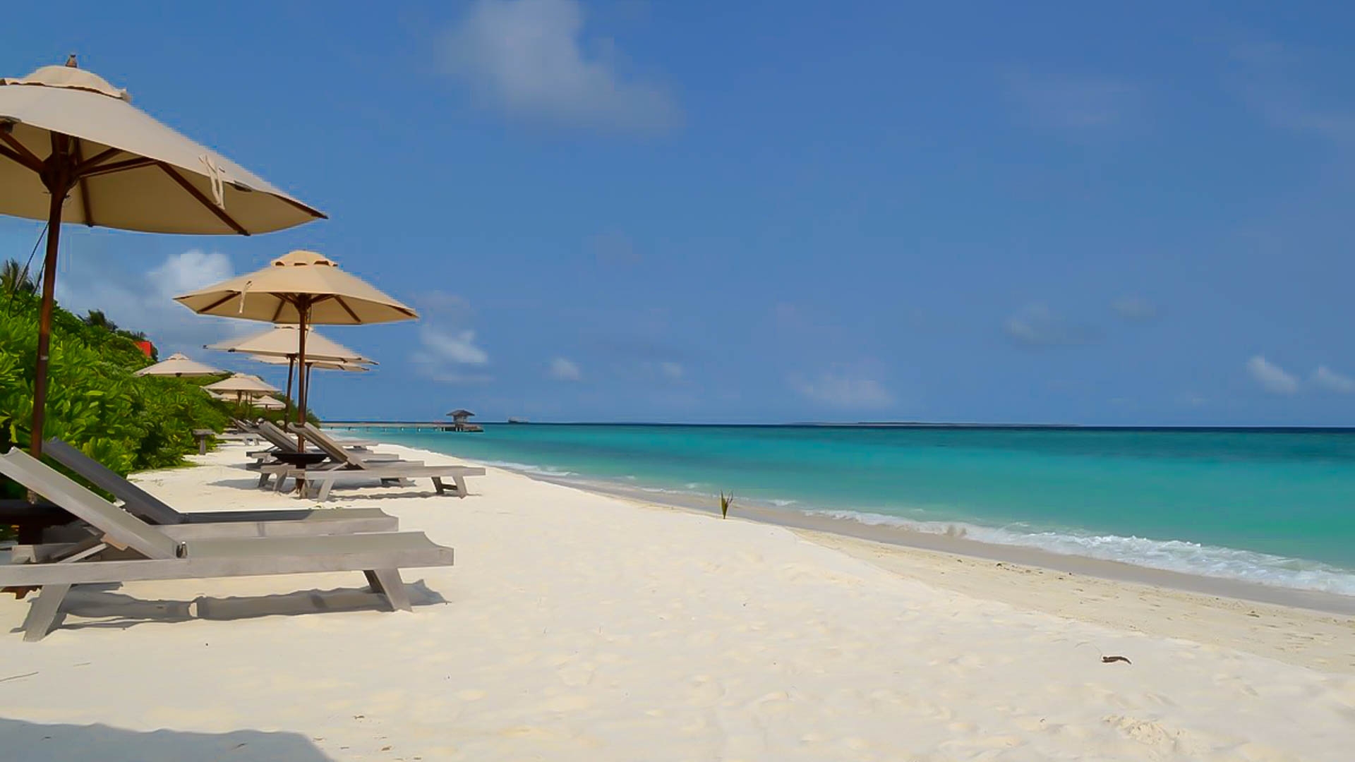 The Barefoot Eco Hotel