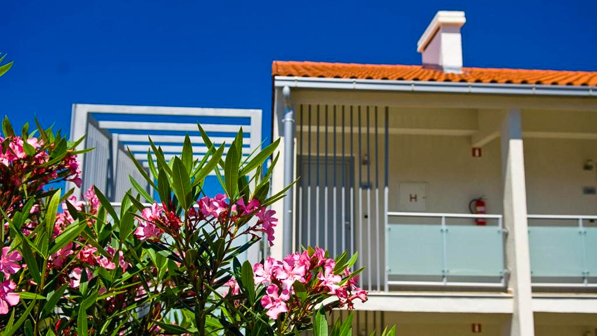 Resort Belvedere