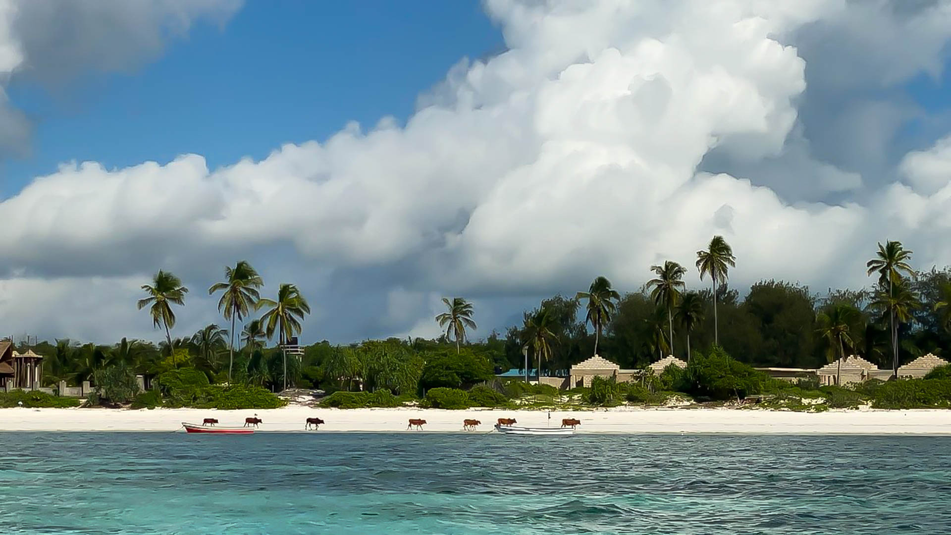 Bluebay Beach Resort & Spa