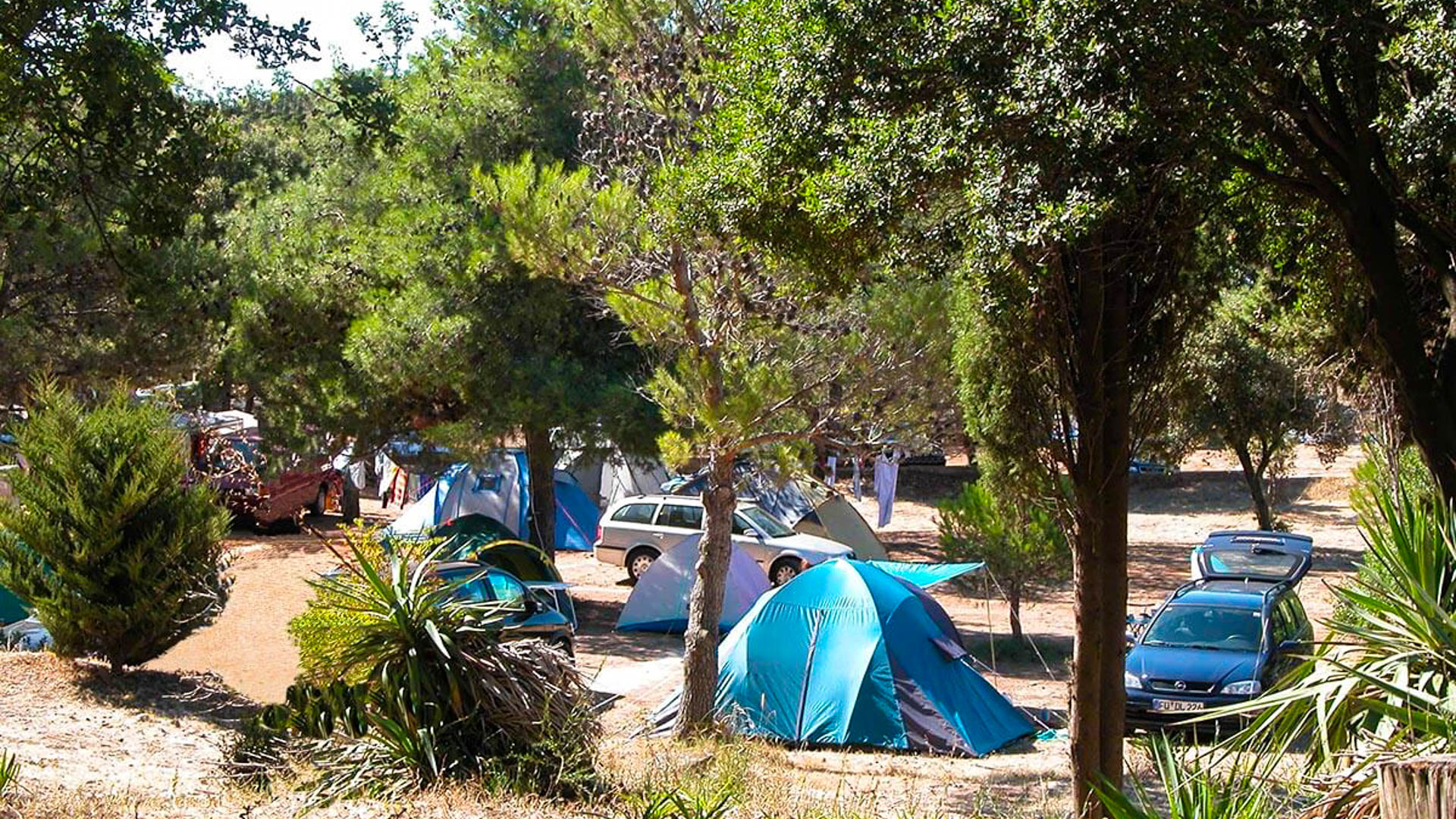 Brioni Sunny Camping