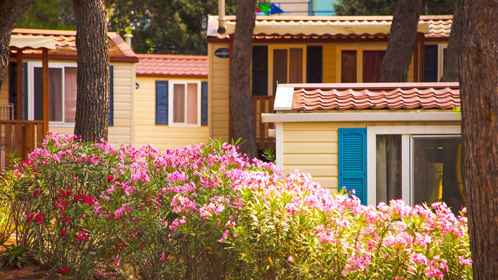 Camping Village Poljana