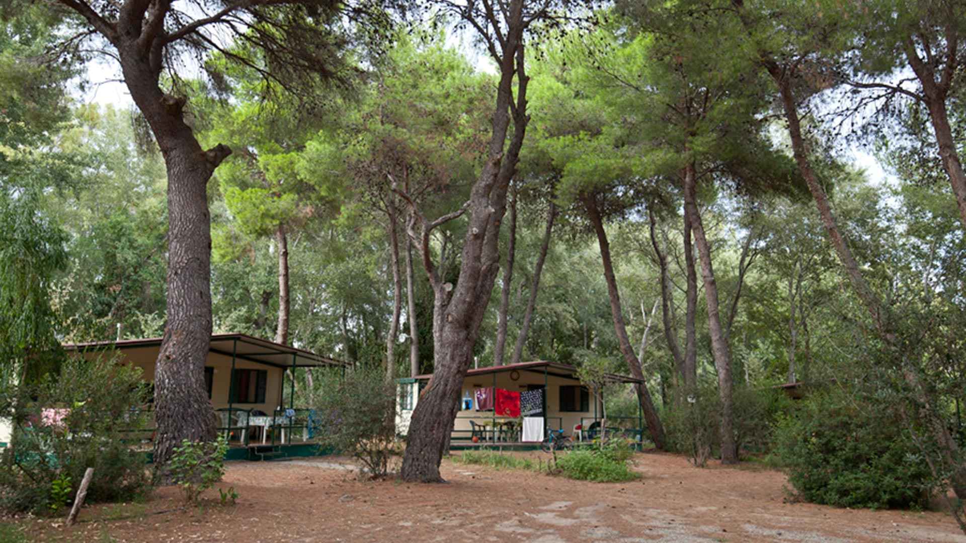 Camping Villaggio Pineta di Sibari