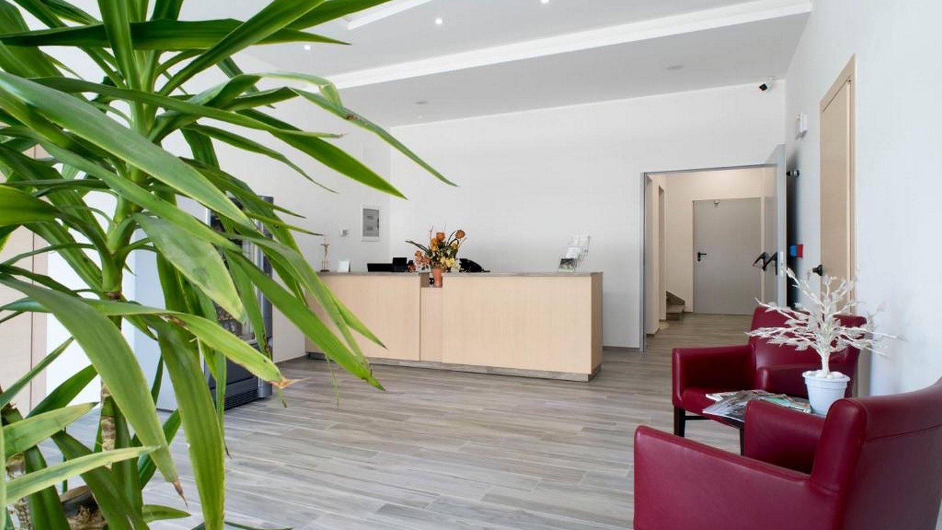 Hotel Terme Capasso