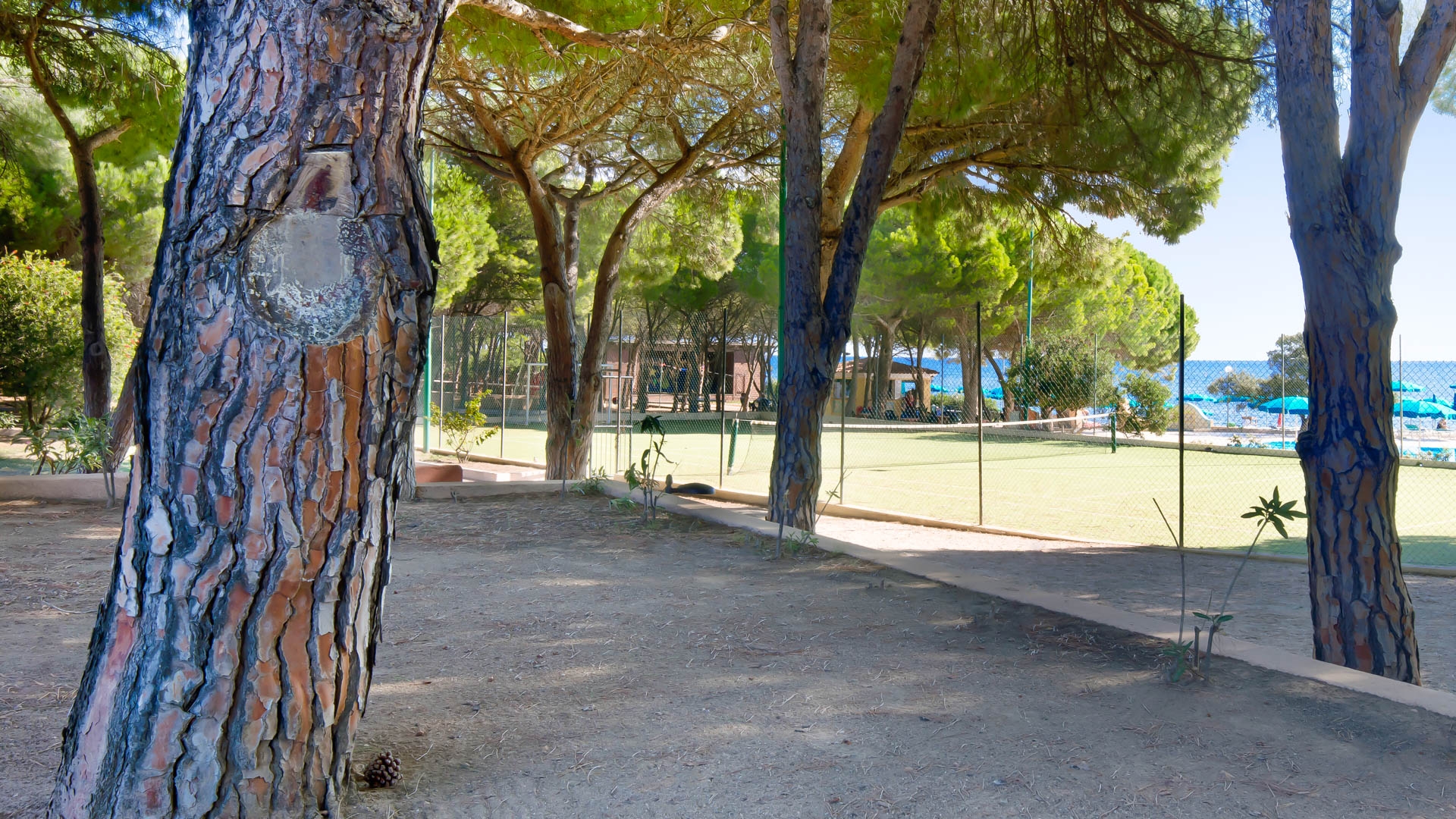 Club Hotel Marina Seada