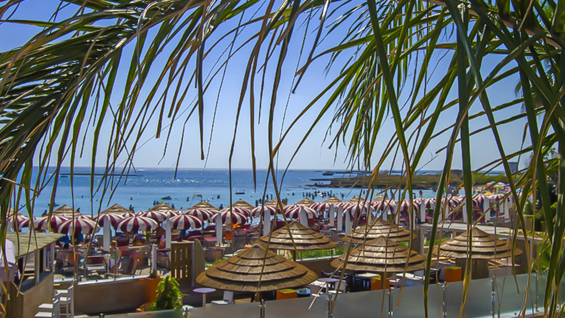 Hotel Conchiglia Azzurra