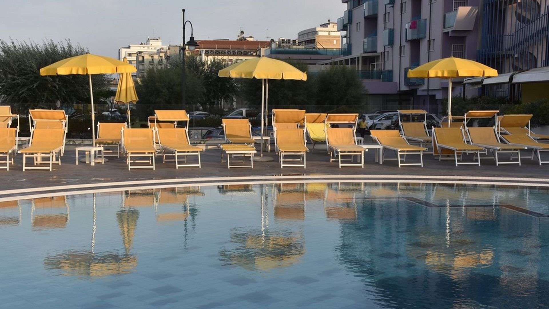 Hotel David