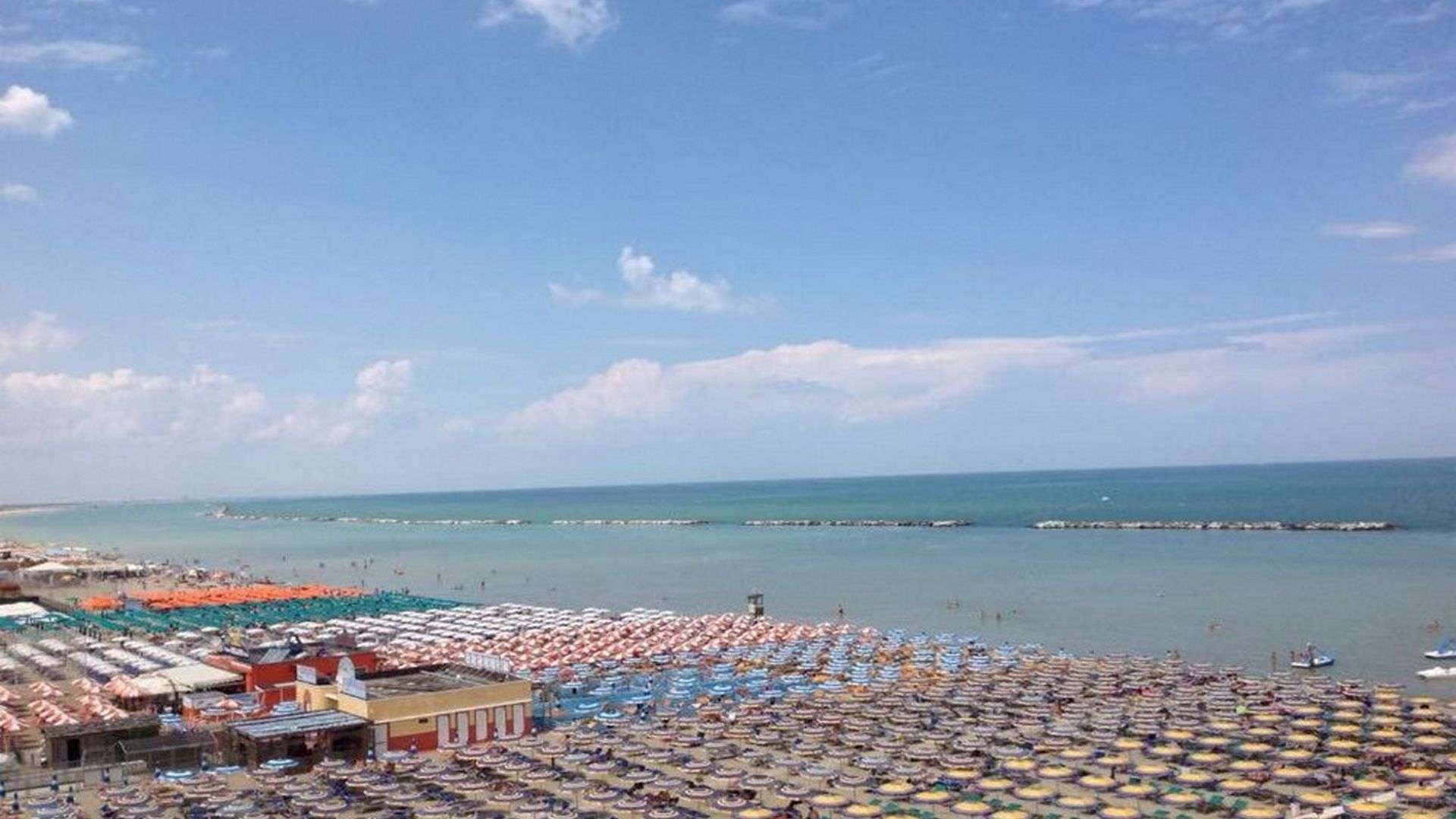 Hotel David
