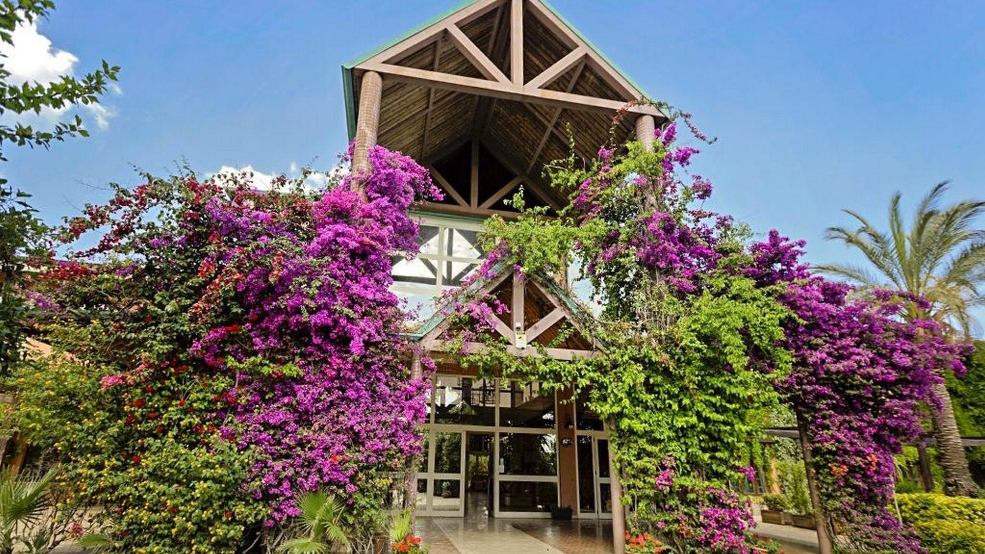 Hotel Club Minerva - Minerva Resort