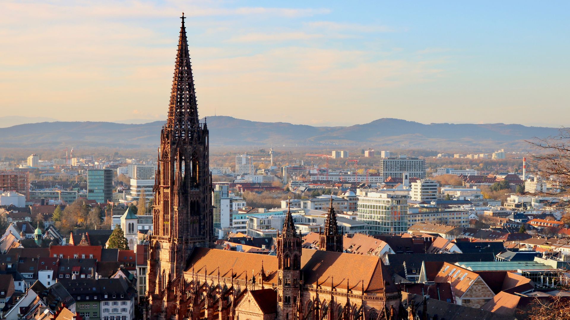 Tour Amsterdam, Fiandre e Reno con Pullman da Roma
