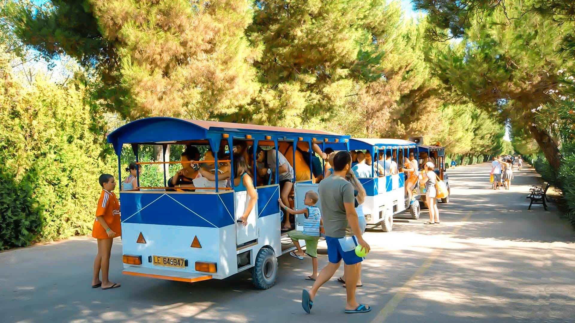 Futura Club Albatros
