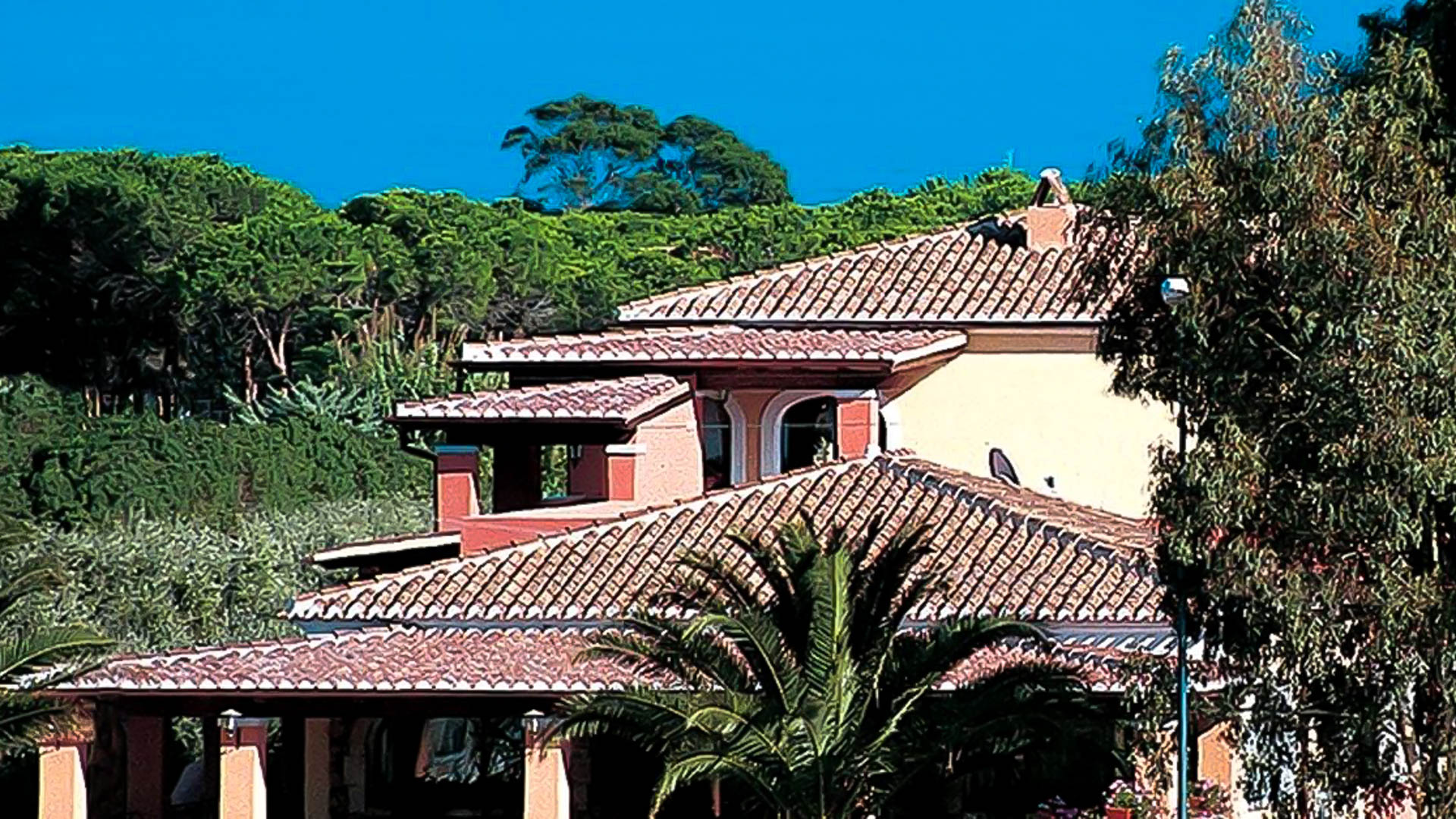 Futura Style Le Palme