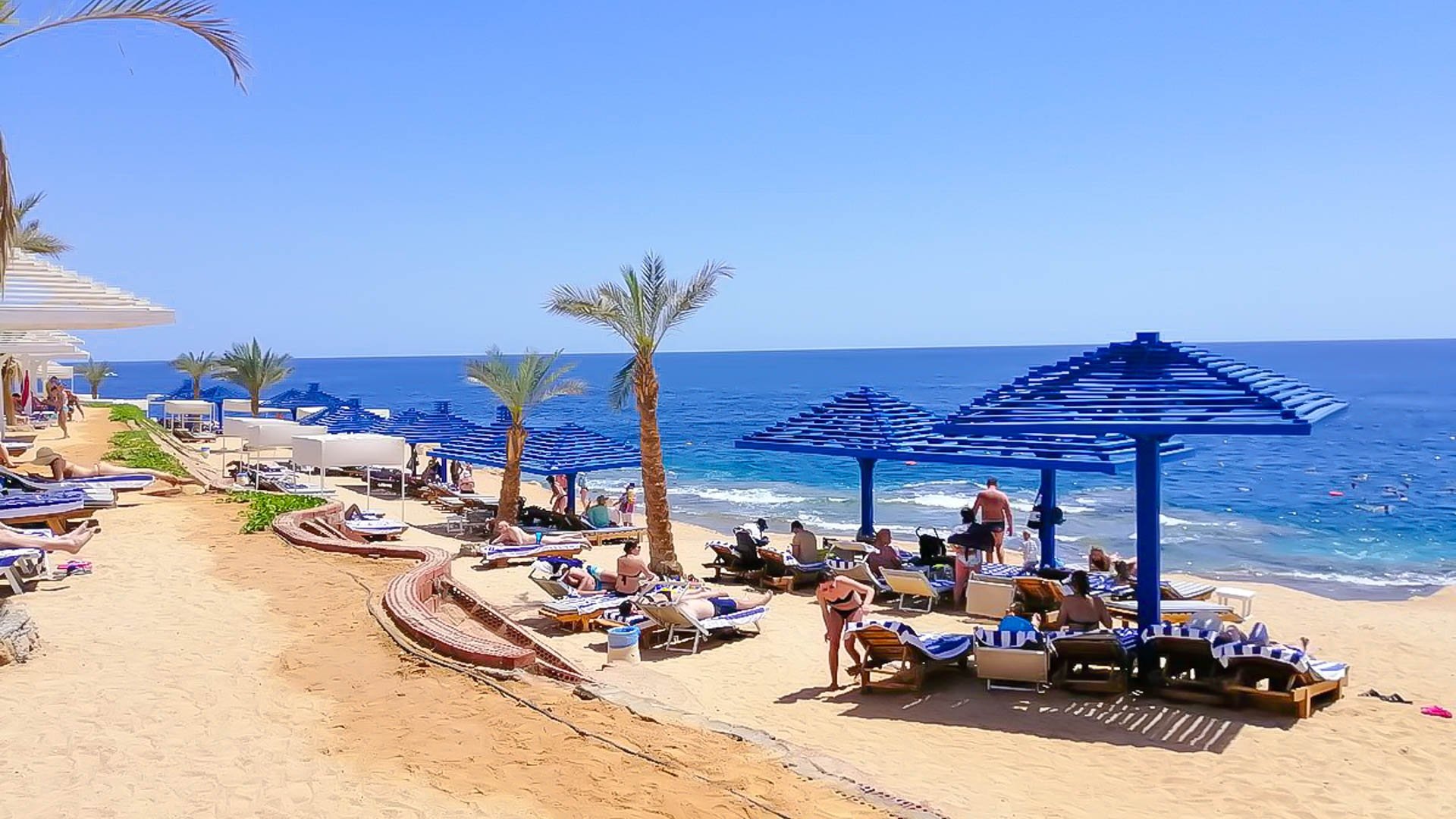 Grand Oasis Resort