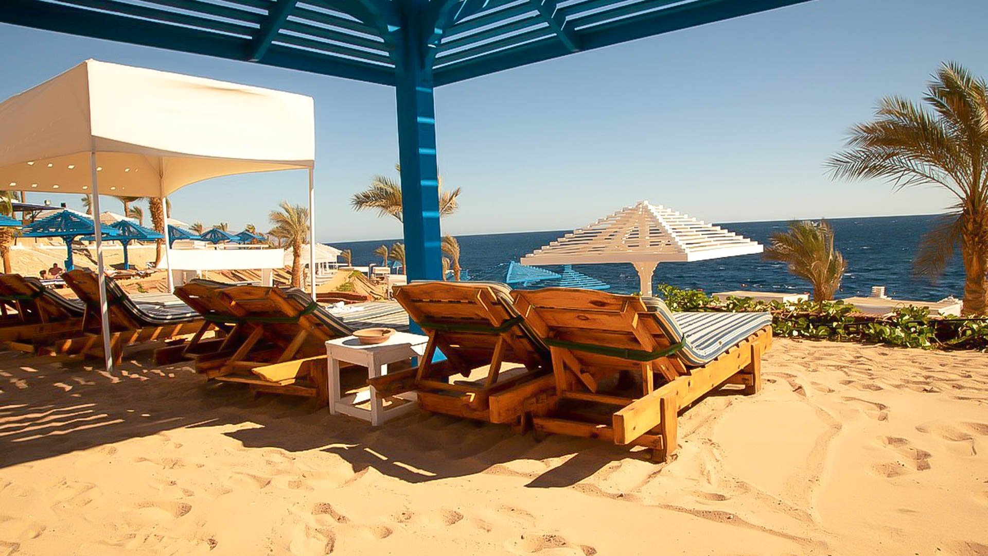 Grand Oasis Resort