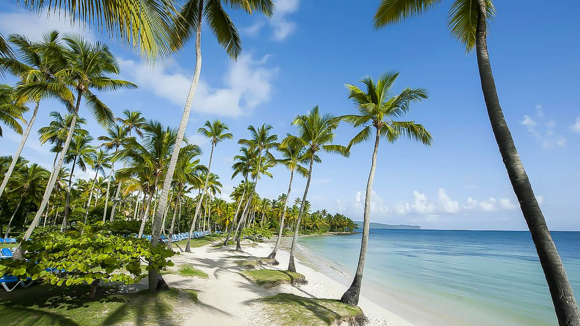 Club Coralia Grand Paradise Samana