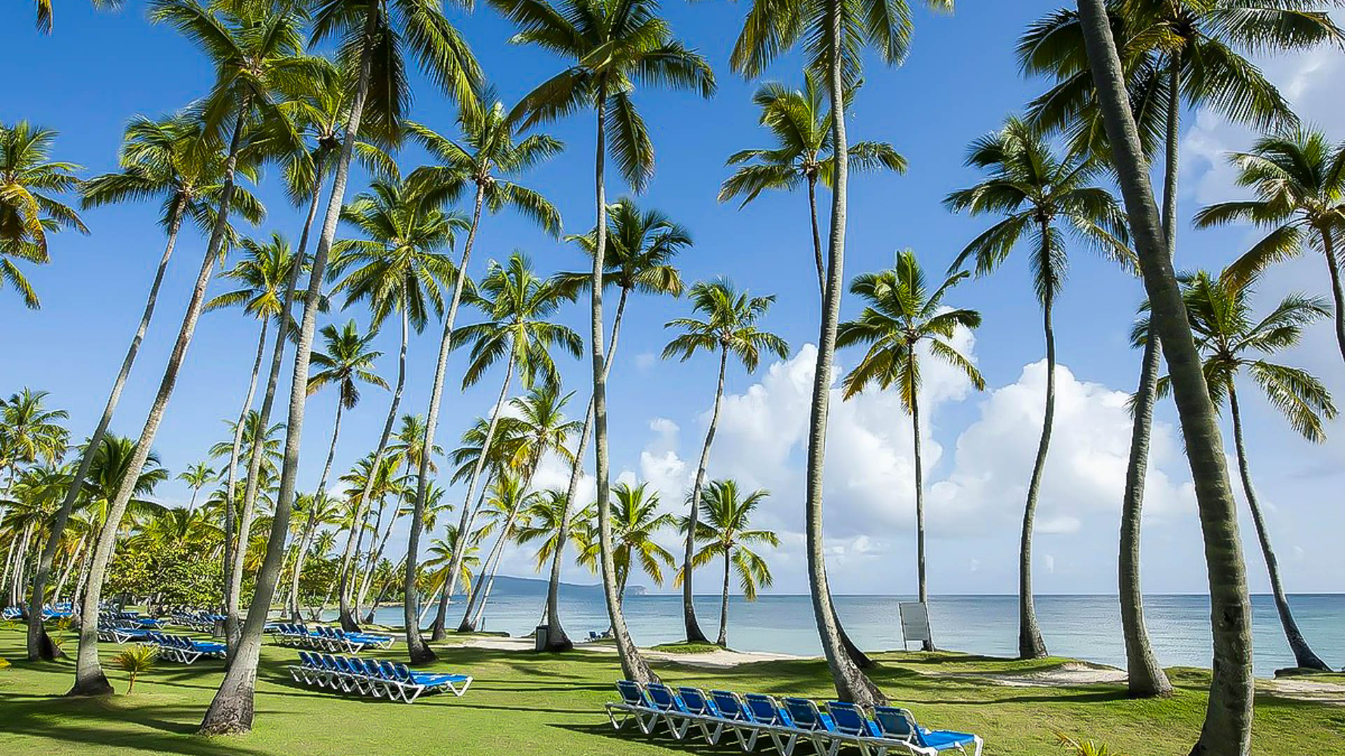 Club Coralia Grand Paradise Samana