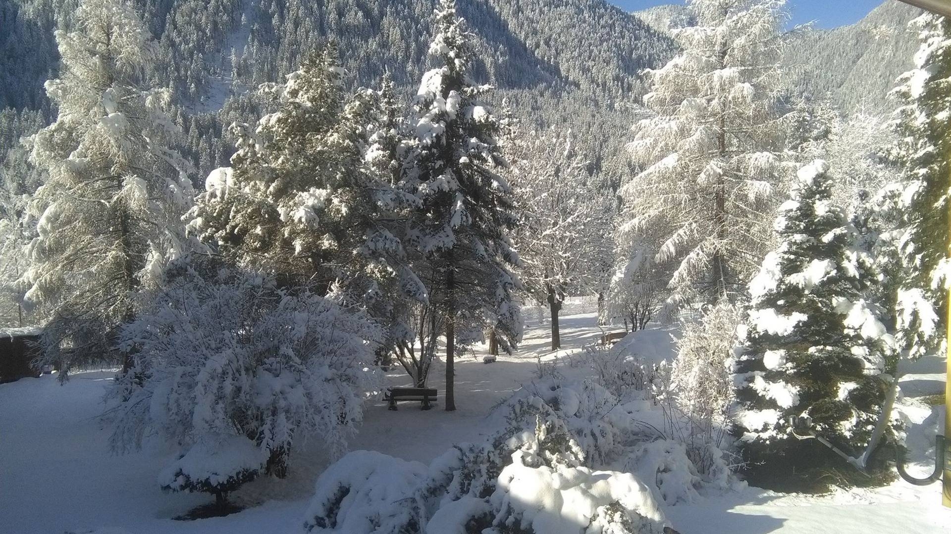 Hotel Auronzo
