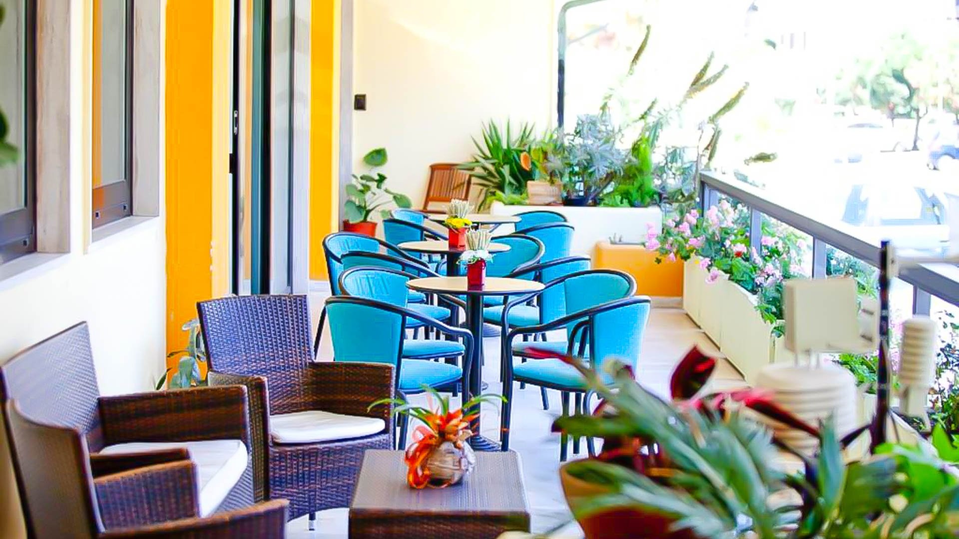 Hotel Canguro