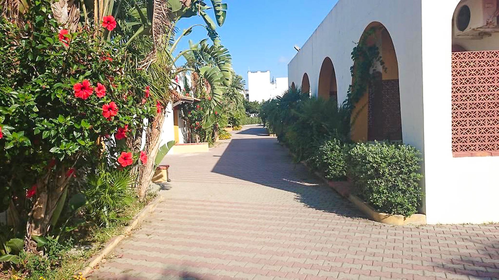 Hotel La Playa