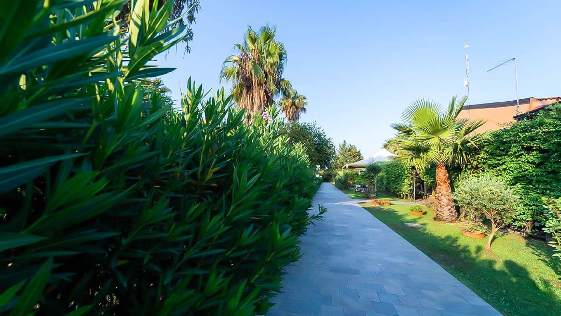 Hotel Club Maregolf - Minerva Resort