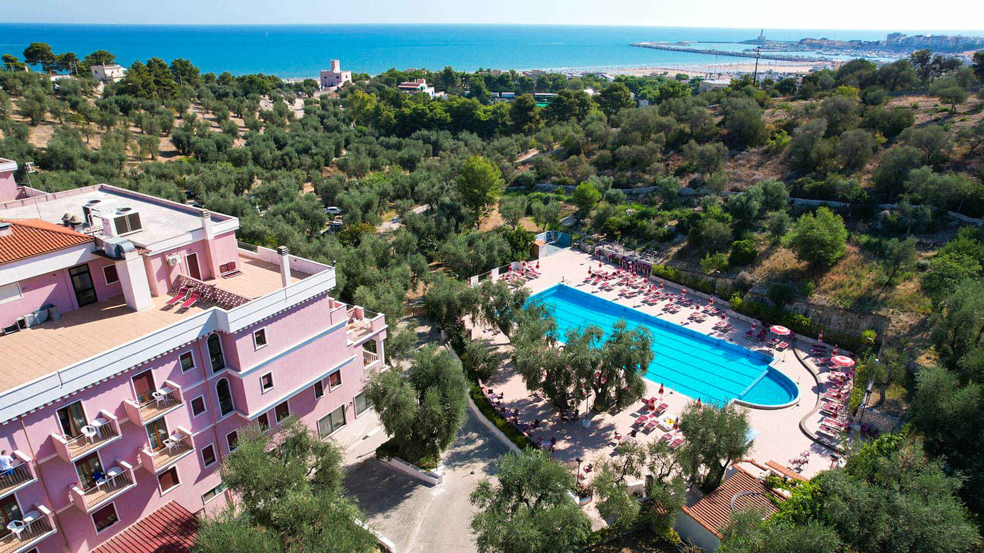 Hotel Delle More