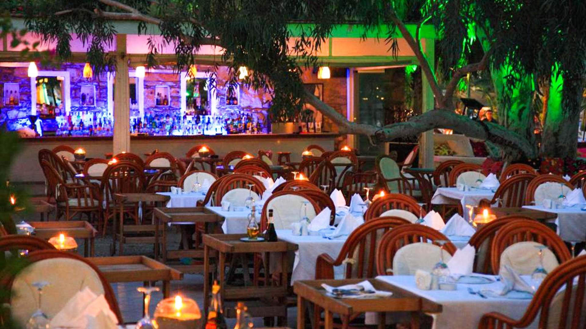 Hotel Okaliptus
