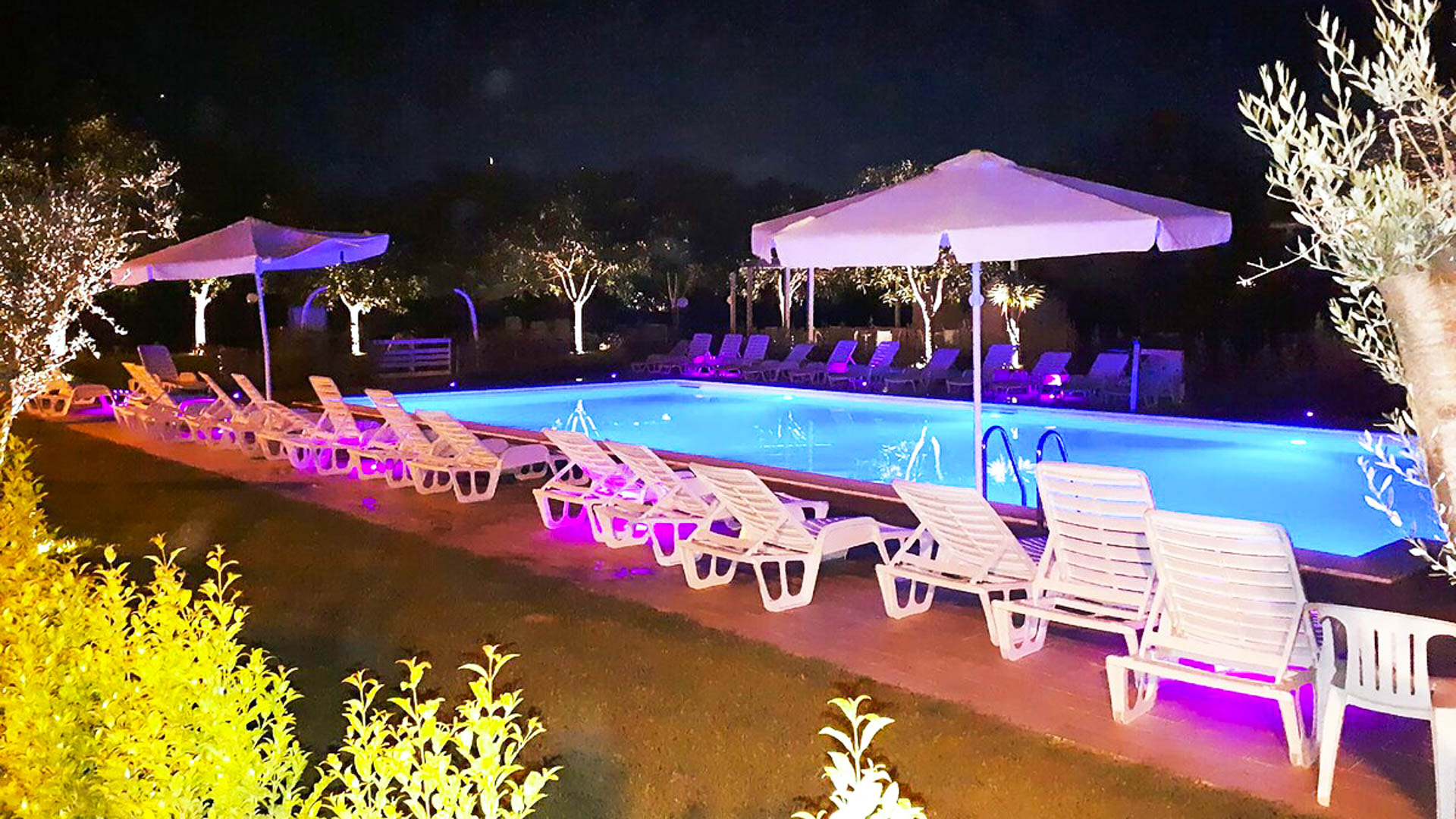 Hotel Park Village