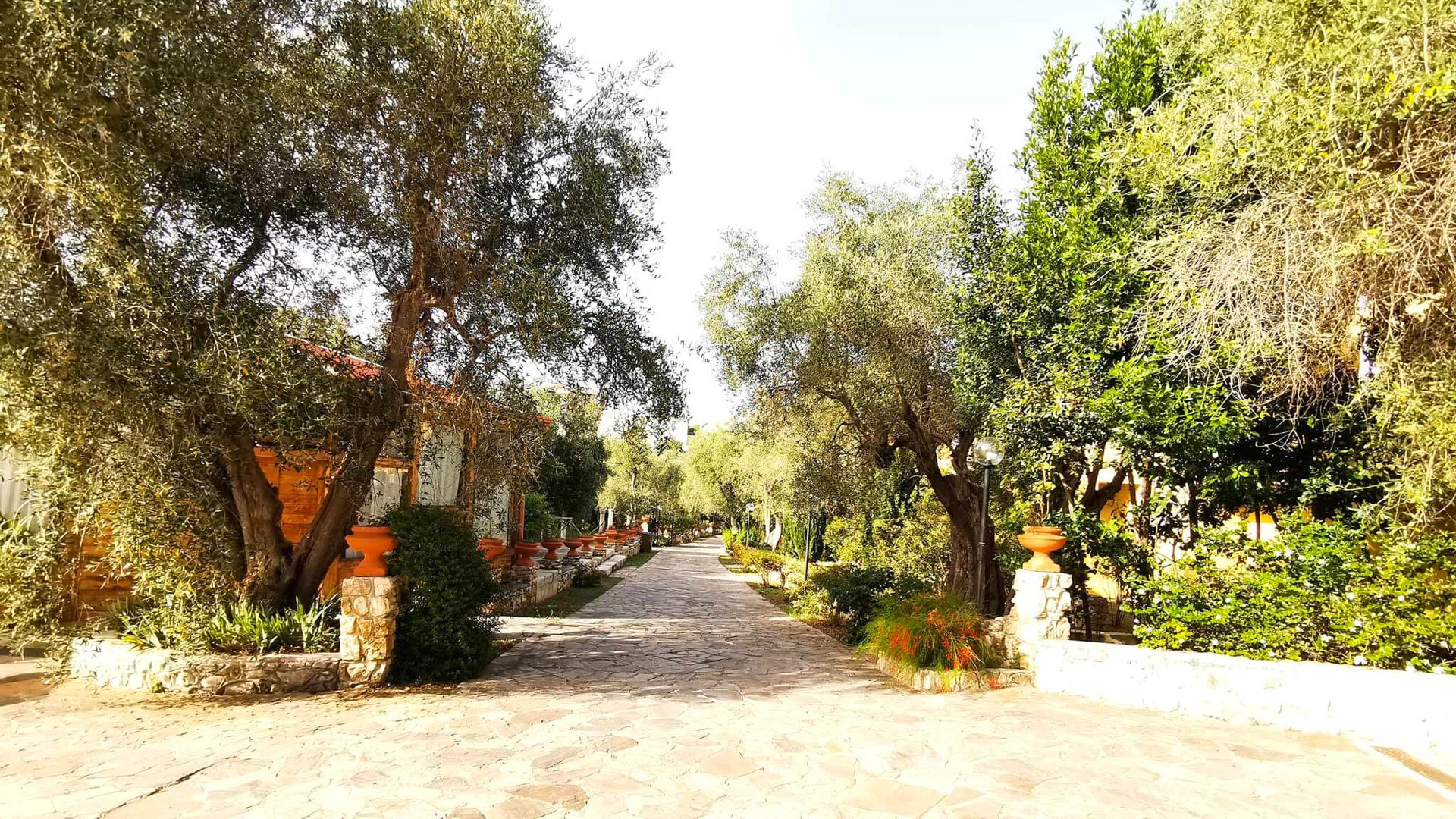 Hotel Poggio Degli Ulivi