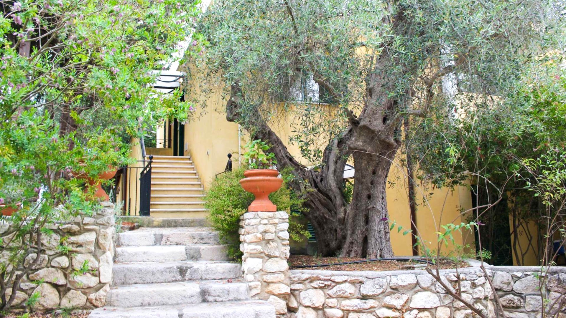 Hotel Poggio Degli Ulivi