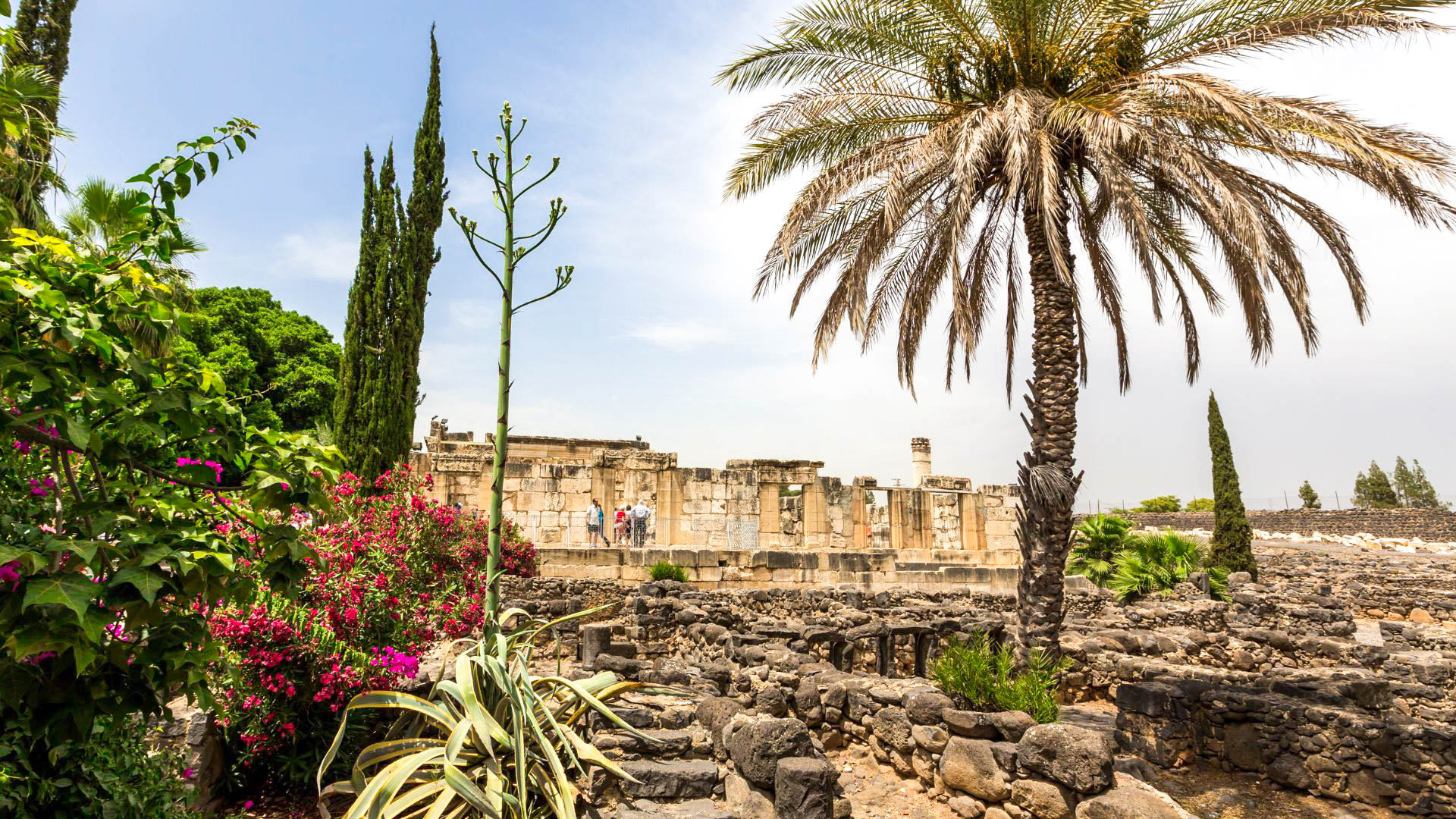 Tour Il fascino di Israele
