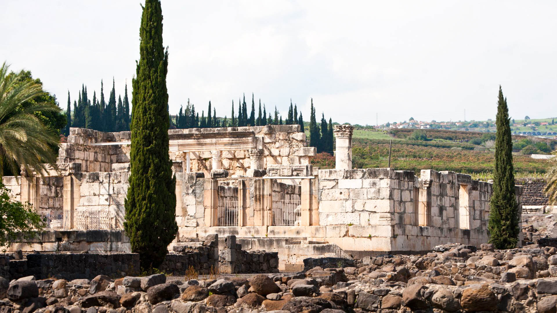 Tour Il fascino di Israele