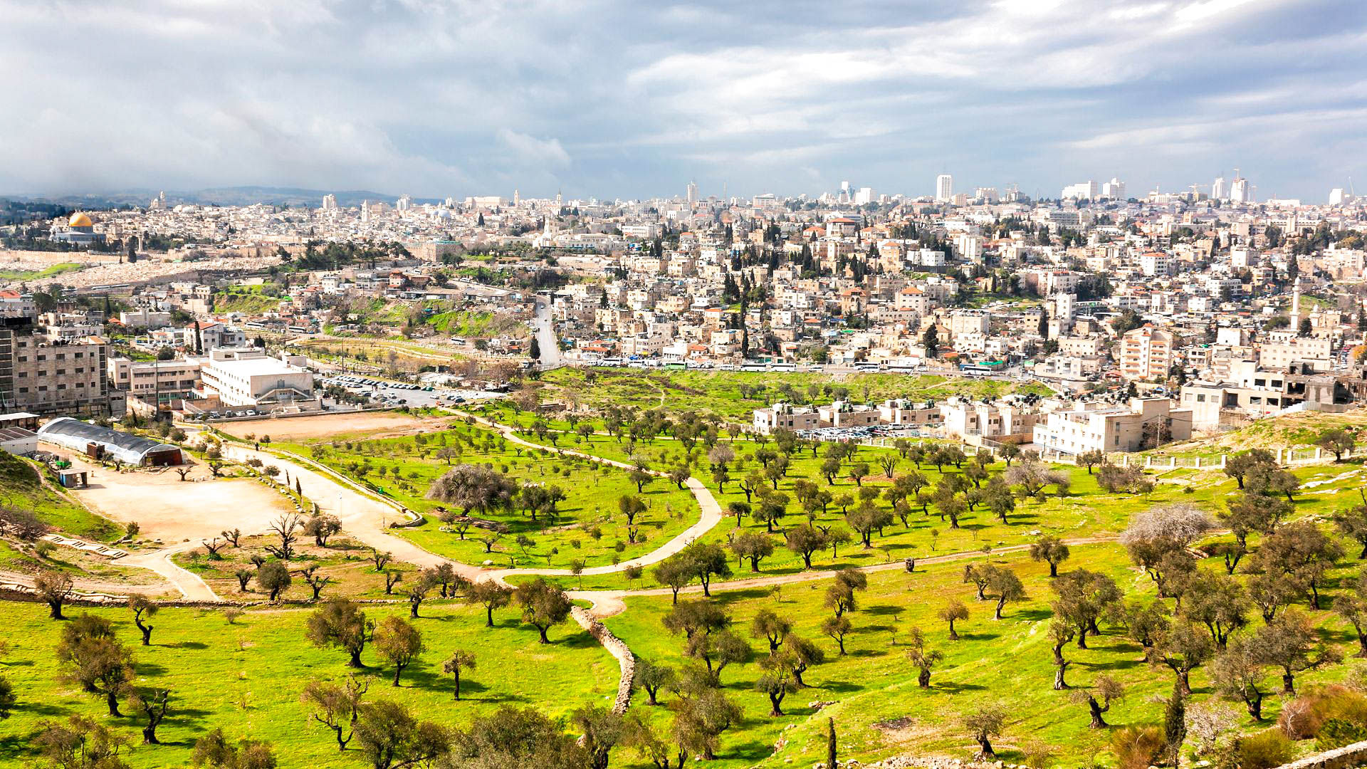 Tour Il fascino di Israele